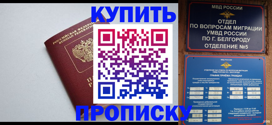 прописка регистрация в Никольском